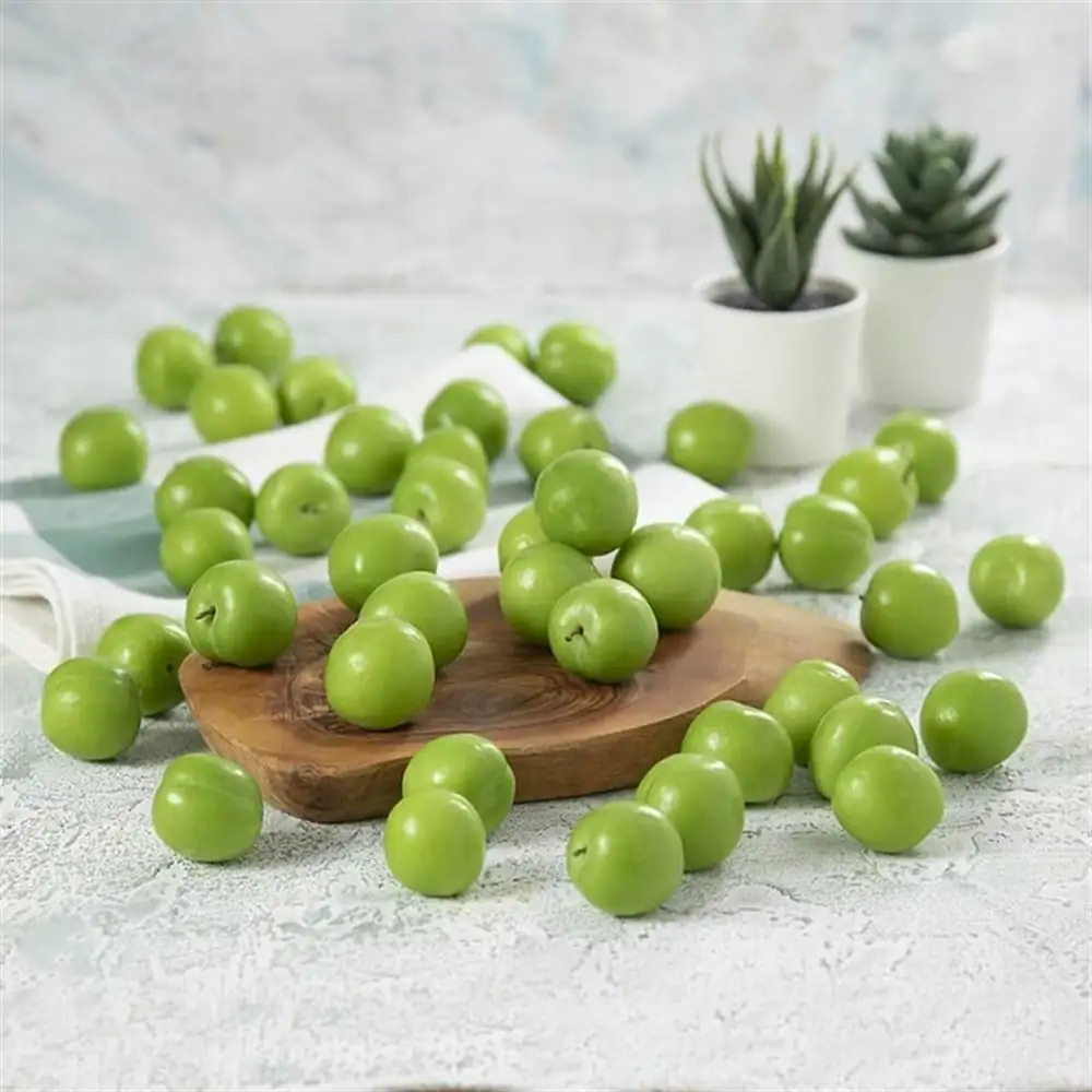 Can Erik Fidanı - Görsel 4