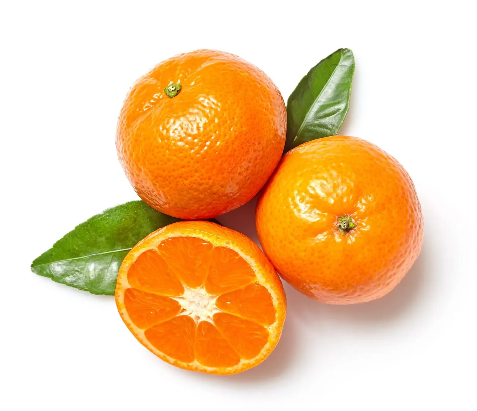 W.Murcott Mandarin Fidanı - Görsel 4