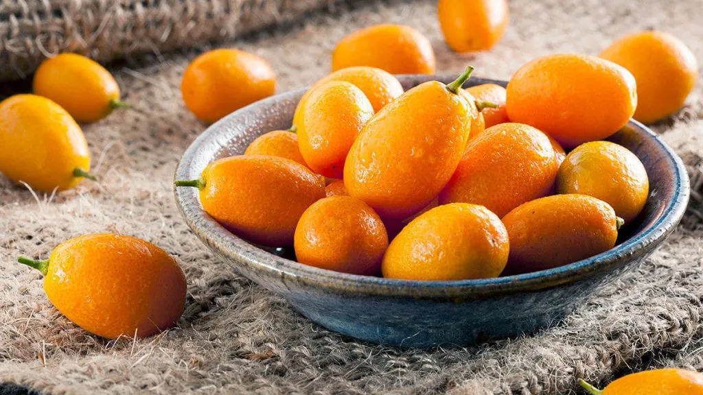 Kumkuat Fidanı
