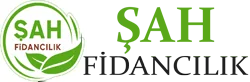 Şah Fidancılık